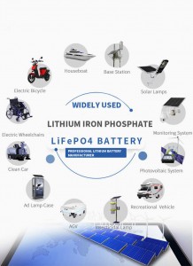 Batterie lifepo4 12v 100ah