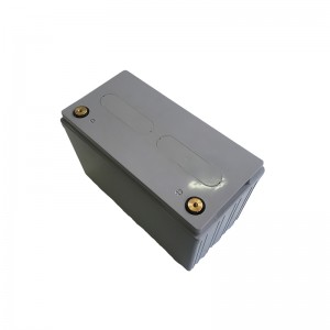 Abs casing 2000+ cycles life lithium ion battery 12V 100Ah with BMS