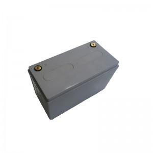 Abs casing 2000+ cycles life lithium ion battery 12V 100Ah with BMS
