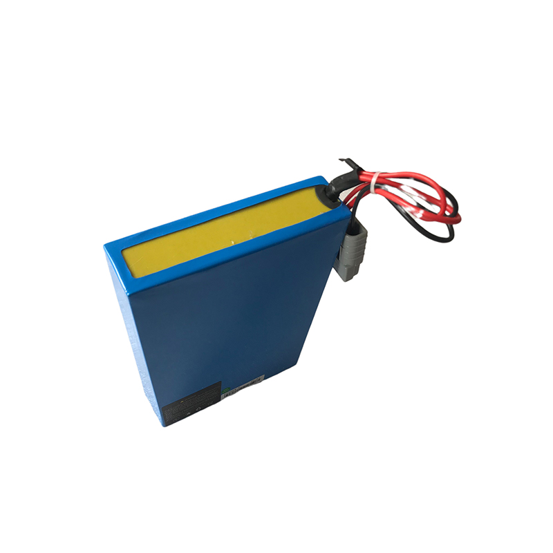 China Supplier Lifepo4 Battery For Electric Bike - 2019 Latest Design China 24V 200ah Lithium/LiFePO4 Batteries for Transport Robot with BMS Bluetooth APP – LIAO detail pictures