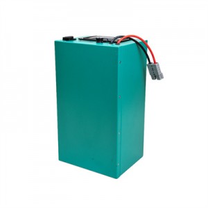 Lifepo4 Battery 48V 40ah for Electric Scooter/Electric Tricycle/Electric Motor Car