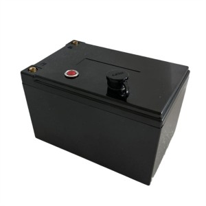 Rechargeable 12V 12Ah Lifepo4 Battery Pack for Motorcycle Scooters Power Wheels, Fish Finder