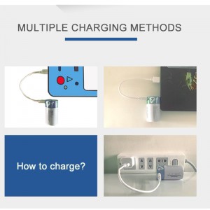 No.1 Rechargeable D Cell batteries 1.5V 12000mWh with Type C Cable