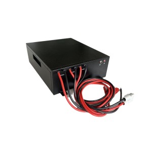 48V Custom Service 100Ah Lifepo4 Battery Pack for Forklift/Touring Car
