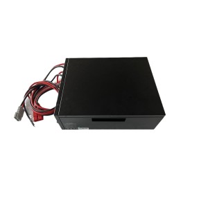 48V Custom Service 100Ah Lifepo4 Battery Pack for Forklift/Touring Car