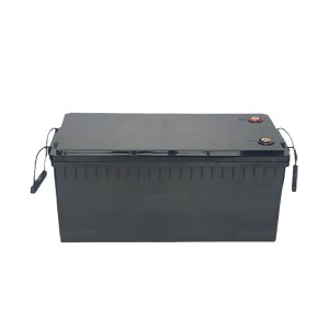 12V 300Ah Deep Cycle Lithium Protection Lifepo4 Battery with BMS for RV Solar Wind System