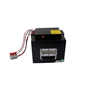 Smart 48V 24Ah LiFePO4 Lithium Battery PACK for AGV