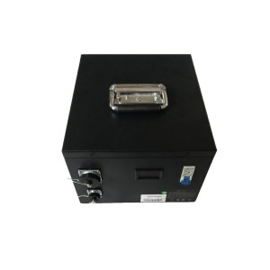 36V 30Ah LiFePO4 Lithium-ion Electric Vehicle Batteries Motorcycle eBike