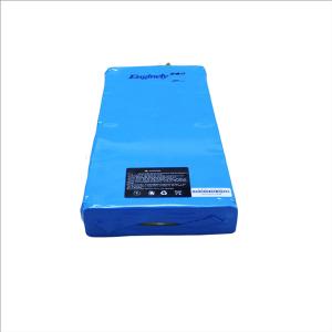 Customized Lithium Ion Battery 36V 10Ah for Electric Scooter Ebike Vehicle Power Lifepo4