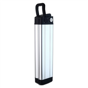 Electric Bike Battery 48V Lithium-ion Battery Pack Lifepo4 Battery Pack