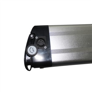 Electric Bike Battery 48V Lithium-ion Battery Pack Lifepo4 Battery Pack