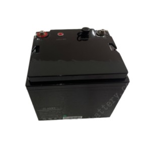 Deep Cycle Replace Lead Acid Battery LiFePO4 Lithium Iron Phosphate Battery Pack 12V 36Ah