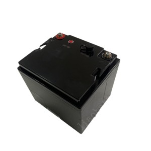 Deep Cycle Replace Lead Acid Battery LiFePO4 Lithium Iron Phosphate Battery Pack 12V 36Ah