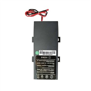 6V 10Ah Lifepo4 Battery Power Bank for Tools Toys And Traffic Light Solar Battery