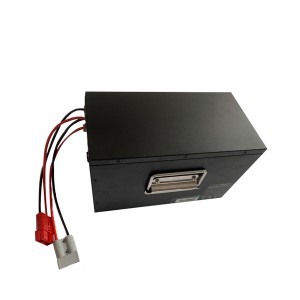 3 Wheel Bicycle Bike Elderly Electric Tricycle Battery 48V 24Ah