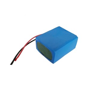 LiFePO4 Battery Pack 24V 12Ah for Solar Lights
